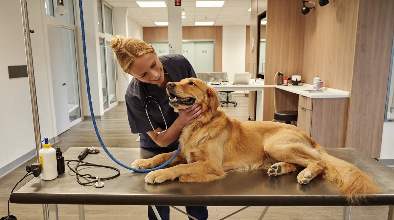 Veterinary & Pet Health audience intelligence visual